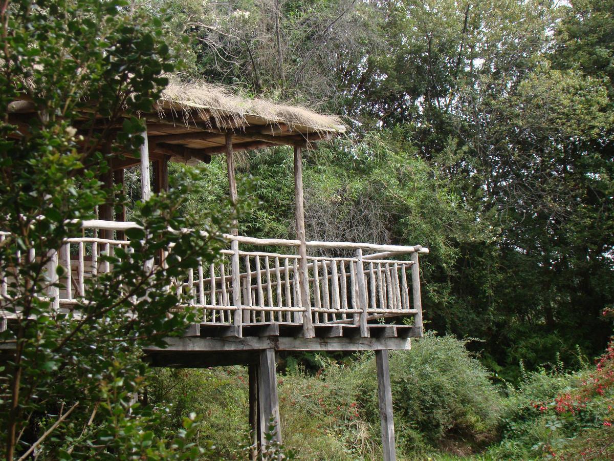 Puelo Siempreverde Villa Puelo River Exterior photo