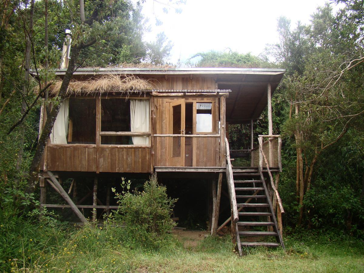 Puelo Siempreverde Villa Puelo River Exterior photo